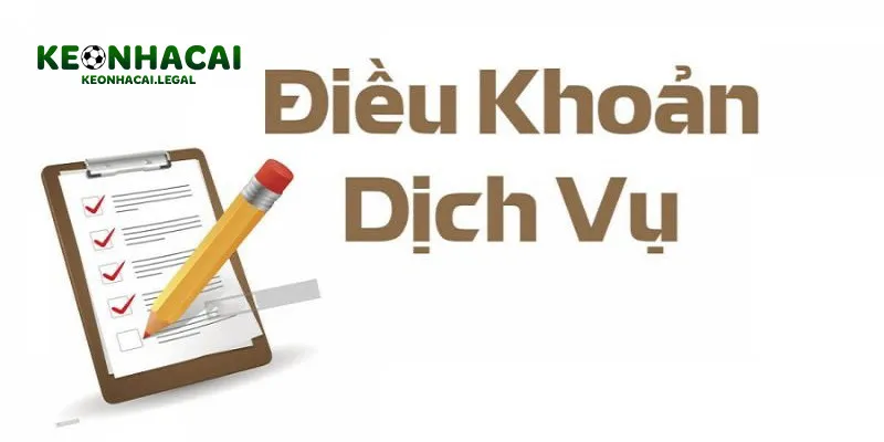 Điều Khoản Dịch Vụ Là Gì?